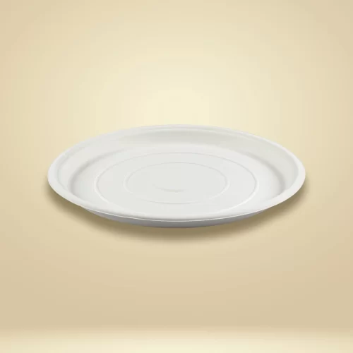 side view of sugarcane bagasse disposable plate
