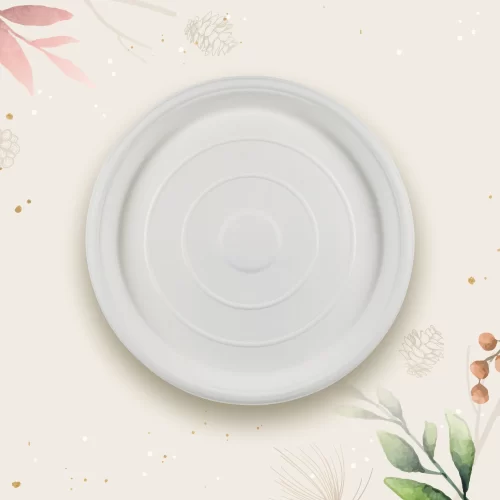 Top view of eco friendly sugarcane plate