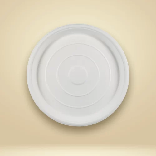 organic disposable sugarcane bagasse plate