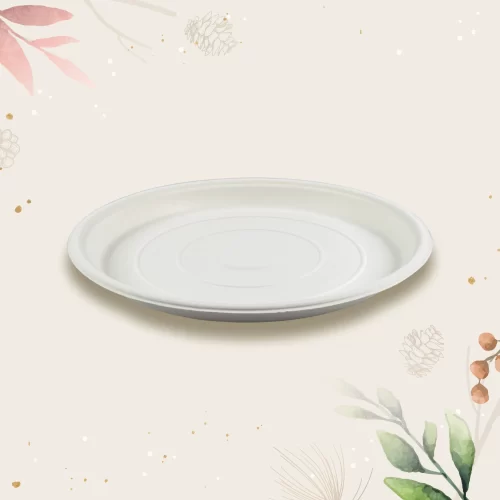 top view of sugarcane bagasse plate