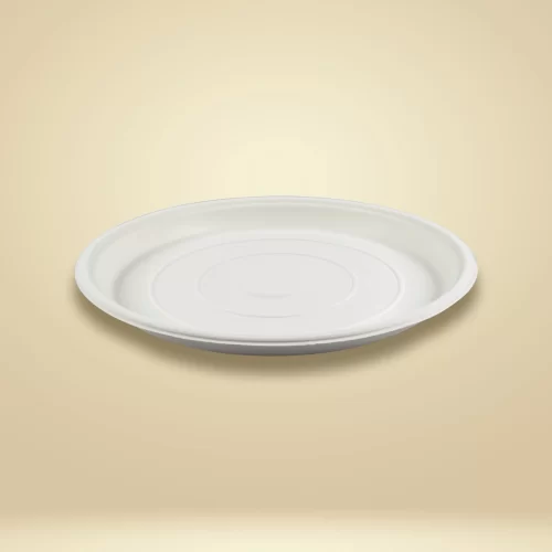 side view of sugarcane bagasse plate