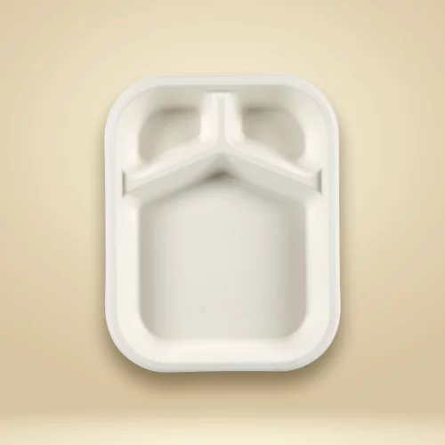 organic sugarcane bagasse meal tray top view
