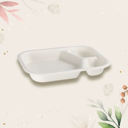 eco friendly biodegradable disposable meal tray