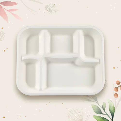 top view of bio degradable bagasse meal tray