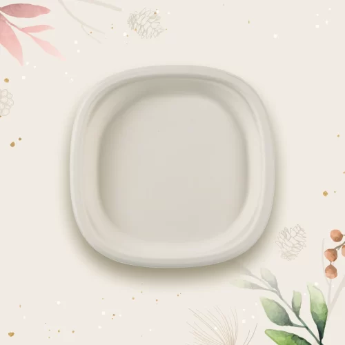 The 6" Square Plate