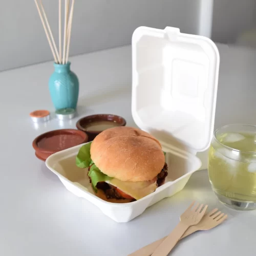burger placed in sugarcane bagasse burger box