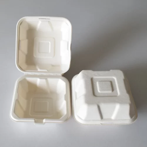sugarcane bagasse burger box