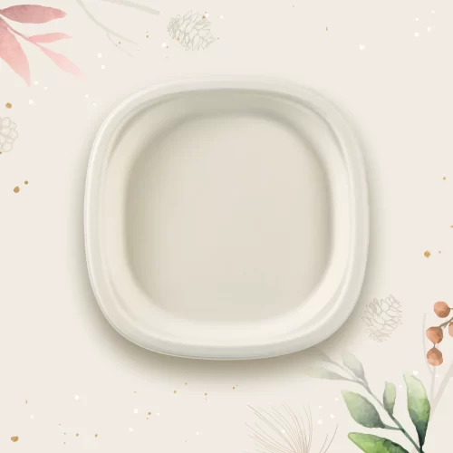 The 7" Square Plate