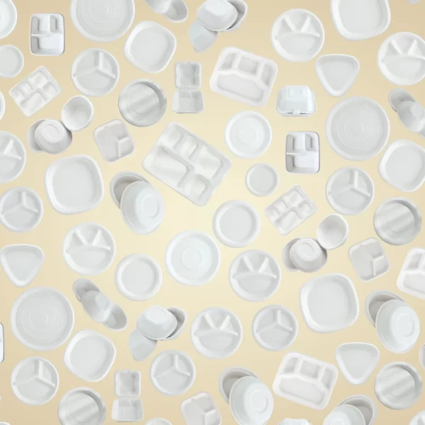 sugarcane bagasse tableware